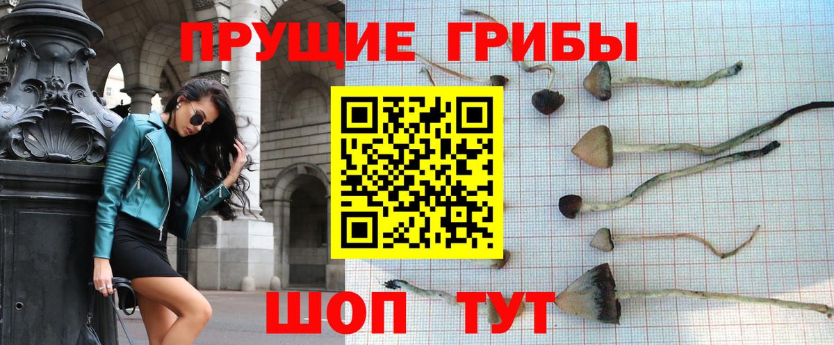 Псилоцибиновые грибы Magic Shrooms  Вход с VPN  Петрозаводск 